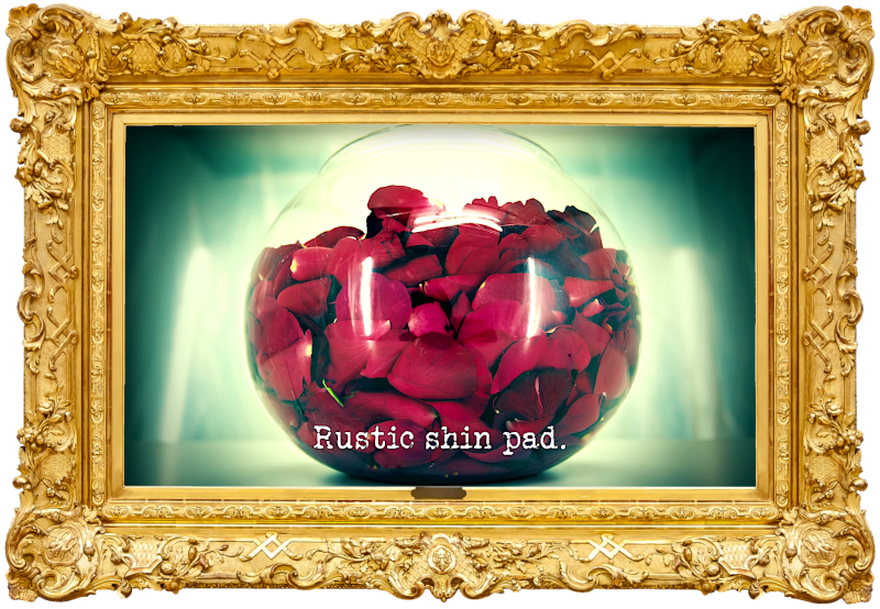 Photo of a fishbowl full of red rose petals (referencing the 'Recall the 15 words you said at the beginning' task), with the episode title, 'Rustic shin pad', superimposed on it. Photo of a fishbowl full of red rose petals (referencing the 'Recall the 15 words you said at the beginning' task), with the episode title, 'Rustic shin pad', superimposed on it.