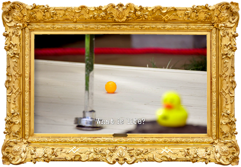 Image of an orange ping pong ball on a concrete platform, with a chrome pipe and an out-of-focus rubber duck on top of a tyre in the foreground (a reference to the 'Get the ping pong ball out of the bath' task), with the episode title 'What is life?' superimposed on it.