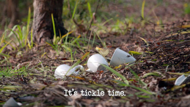Image of some broken mugs on the ground in a wooded area (a reference to Dave Hughes' attempt at the 'Get the mugs into the bath in 75 steps' task), with the episode title 'It’s tickle time' superimposed on it.