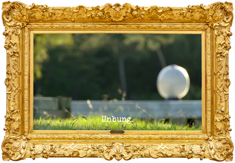 Blurred image of an exercise ball on the pond dock (a reference to the 'Get the Swiss ball into the kayak' task), with the episode title, 'Unbung', superimposed on it. Blurred image of an exercise ball on the pond dock (a reference to the 'Get the Swiss ball into the kayak' task), with the episode title, 'Unbung', superimposed on it.