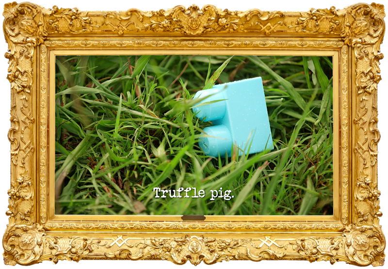 Image of a light blue toy brick lying in the grass (a reference to the 'Knock the fine china off the towers' task), with the episode title, 'Truffle pig', superimposed on it. Image of a light blue toy brick lying in the grass (a reference to the 'Knock the fine china off the towers' task), with the episode title, 'Truffle pig', superimposed on it.