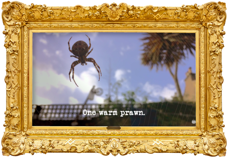 Image of a spider hanging in its web (presumably a reference to the 'Make something spin for the longest' task), with the episode title, 'One warm prawn', superimposed on it. Image of a spider hanging in its web (presumably a reference to the 'Make something spin for the longest' task), with the episode title, 'One warm prawn', superimposed on it.