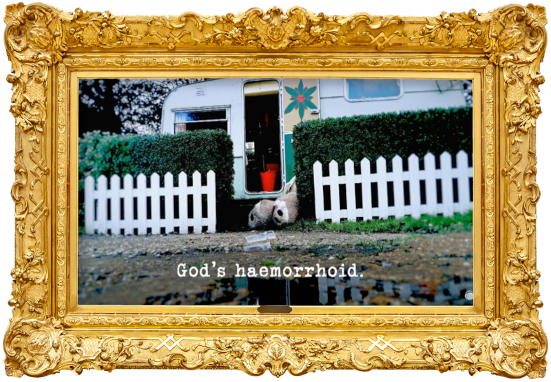 Image of the feet of a giant teddy bear, poking out from behind the low hedge around the Taskmaster's caravan (a reference to the 'Fell the coconut, then move the drinks' task), with the episode title, 'God’s haemorrhoid', superimposed on it. Image of the feet of a giant teddy bear, poking out from behind the low hedge around the Taskmaster's caravan (a reference to the 'Fell the coconut, then move the drinks' task), with the episode title, 'God’s haemorrhoid', superimposed on it.