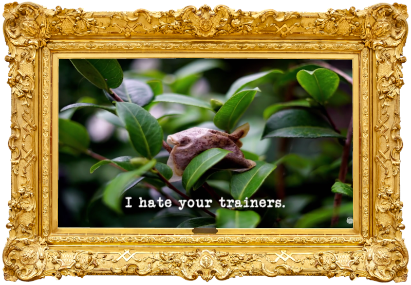 Image of a used teabag, discarded on a tree branch (presumably a very oblique reference to the 'Paint a howling wolf on a rotating teapot' task, and/or perhaps even the 'Bag the heaviest thing from the greatest distance' task?), with the episode title, 'I hate your trainers', superimposed on it. Image of a used teabag, discarded on a tree branch (presumably a very oblique reference to the 'Paint a howling wolf on a rotating teapot' task, and/or perhaps even the 'Bag the heaviest thing from the greatest distance' task?), with the episode title, 'I hate your trainers', superimposed on it.