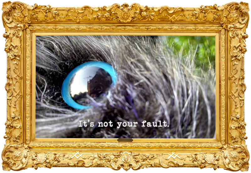 Image of the eye of the radio-controlled rat used in the 'Catch the rat' task, with the episode title, 'It’s not your fault', superimposed on it. Image of the eye of the radio-controlled rat used in the 'Catch the rat' task, with the episode title, 'It’s not your fault', superimposed on it.