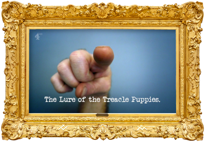 Image of a hand pointing directly at the camera (presumably a reference to the 'Have an argument' task), with the episode title, 'The lure of the treacle puppies', superimposed on it. Image of a hand pointing directly at the camera (presumably a reference to the 'Have an argument' task), with the episode title, 'The lure of the treacle puppies', superimposed on it.