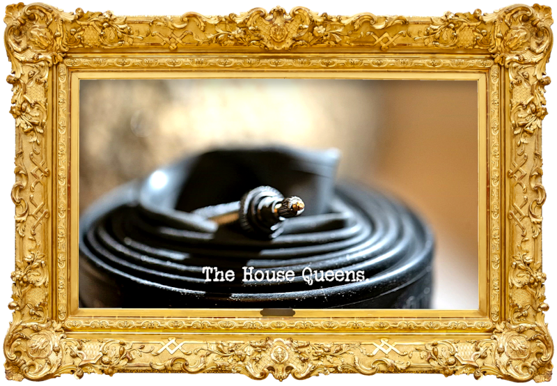 Image of a coiled up bicycle wheel inner tube (a reference to the 'Identify the liquids' task), with the episode title, 'The House Queens', superimposed on it. Image of a coiled up bicycle wheel inner tube (a reference to the 'Identify the liquids' task), with the episode title, 'The House Queens', superimposed on it.