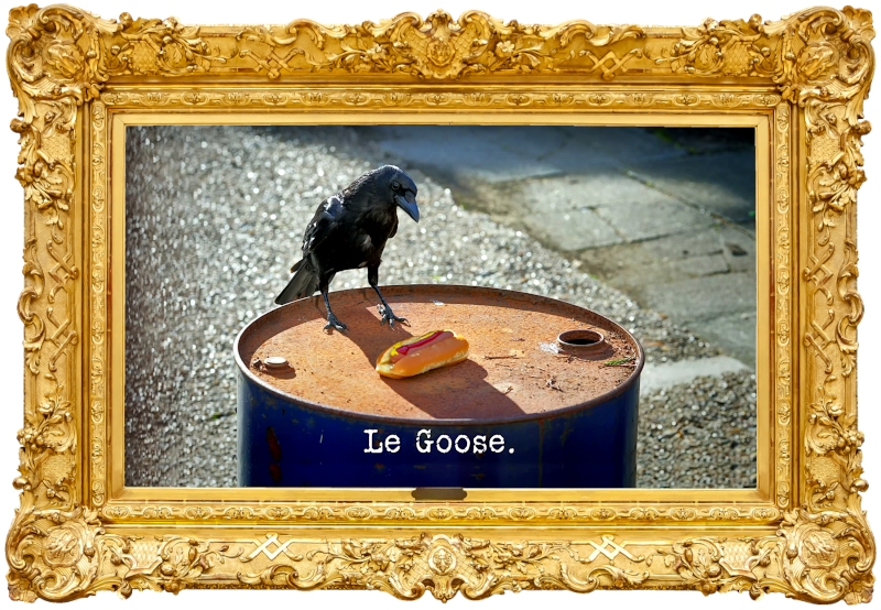 Photo of a crow standing on the edge of an oil drum, looking at a hot dog (presumably referencing Andy Zaltzman's decision to wear his hotdog costume during this episode?), with the episode title, 'Le goose', superimposed on it. Photo of a crow standing on the edge of an oil drum, looking at a hot dog (presumably referencing Andy Zaltzman's decision to wear his hotdog costume during this episode?), with the episode title, 'Le goose', superimposed on it.