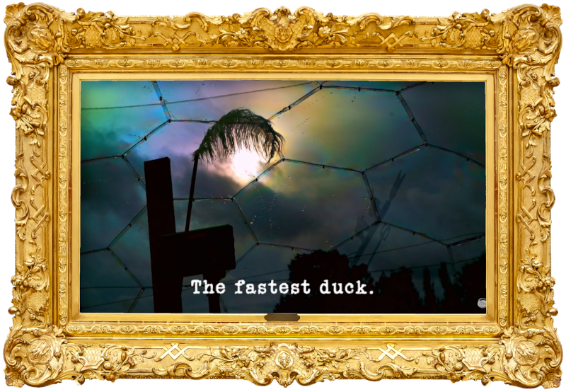 Image of the silhouette of a feather on a stick against the sky, viewed through the ceiling of the plastic dome outside the Taskmaster house (a reference to the 'Build the lightest tower on a set of scales' task), with the episode title, 'The fastest duck', superimposed on it. Image of the silhouette of a feather on a stick against the sky, viewed through the ceiling of the plastic dome outside the Taskmaster house (a reference to the 'Build the lightest tower on a set of scales' task), with the episode title, 'The fastest duck', superimposed on it.