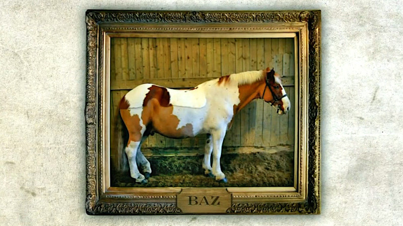 Brown and white horse pictured in a gilded frame with the label 'Baz'. Brown and white horse pictured in a gilded frame with the label 'Baz'.