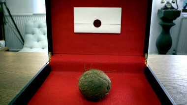 A red fabric lined briefcase open to display a sealed task brief and a coconut.