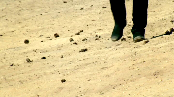 Nish Kumar's shoes walking toward the camera across a sandy beach. Nish Kumar's shoes walking toward the camera across a sandy beach.