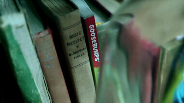 The spine of a goosebumps book sits on a shelf. The other visible book is 'Basic Recipes'.