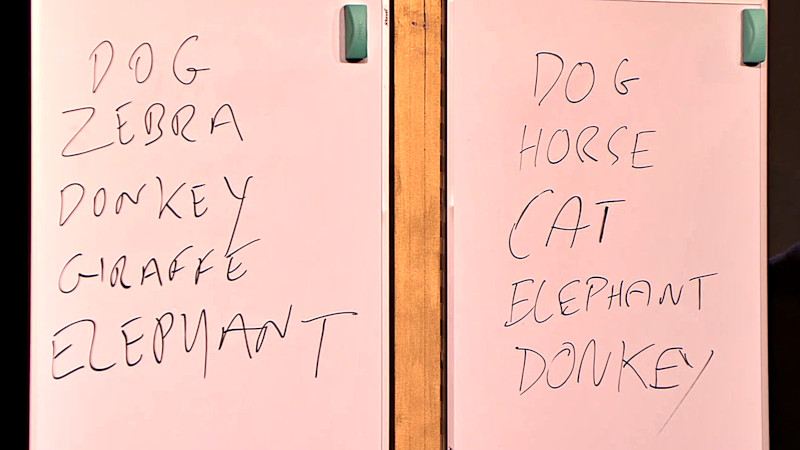 Two large whiteboards with lists of animals scrawled on them. The first whiteboard reads 'Dog, Zebra, Donkey, Giraffe, Elephant.' The second whiteboard reads 'Dog, Horse, Cat, Elephant, Donkey'.
