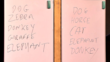 Two large whiteboards with lists of animals scrawled on them. The first whiteboard reads 'Dog, Zebra, Donkey, Giraffe, Elephant.' The second whiteboard reads 'Dog, Horse, Cat, Elephant, Donkey'.