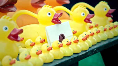A sealed task brief rests among several rows of yellow rubber ducks ranging in size arrayed in rows on a picnic table.