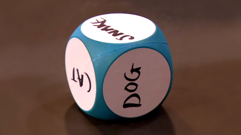 A large novelty dice. On each side of the dice a different animal name is hand-written: dog, cat, snake.