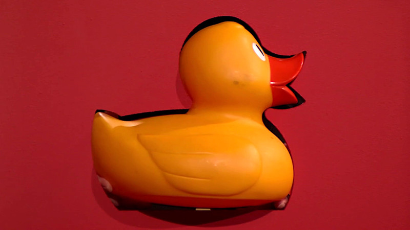 A rubber duck half-way through a rubber duck shaped cut-out. A rubber duck half-way through a rubber duck shaped cut-out.