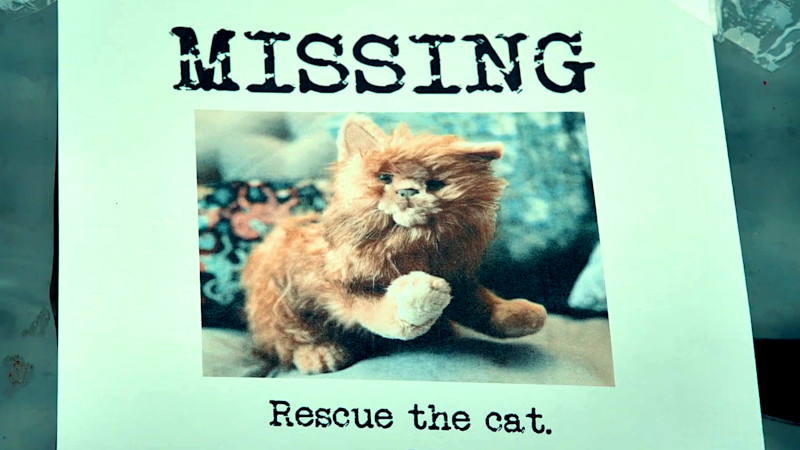 A missing poster with a photo of patatas the cat and the words 'Rescue the Cat'. A missing poster with a photo of patatas the cat and the words 'Rescue the Cat'.