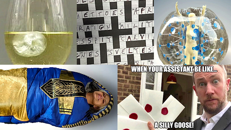 A composite image composed of five sections. In each section is a different object brought in for the prize task. Clockwise from top left the prizes are: a glass of white wine with an ice cube in it brought in by Nick Mohammed; a partially filled in cryptic crossword brought in by Steve Pemberton; a Zorb with a plastic doll in it brought in by Sophie Willan; a Taskmaster meme brought in by John Robins, featuring a photo of Alex Horne holding up four fanned-out sealed task, with the caption 'WHEN YOUR ASSISTANT BE LIKE… A SILLY GOOSE!'; and a photo of Joanne McNally inside a Egyptian sarcophagus themed sleeping bag. A composite image composed of five sections. In each section is a different object brought in for the prize task. Clockwise from top left the prizes are: a glass of white wine with an ice cube in it brought in by Nick Mohammed; a partially filled in cryptic crossword brought in by Steve Pemberton; a Zorb with a plastic doll in it brought in by Sophie Willan; a Taskmaster meme brought in by John Robins, featuring a photo of Alex Horne holding up four fanned-out sealed task, with the caption 'WHEN YOUR ASSISTANT BE LIKE… A SILLY GOOSE!'; and a photo of Joanne McNally inside a Egyptian sarcophagus themed sleeping bag.