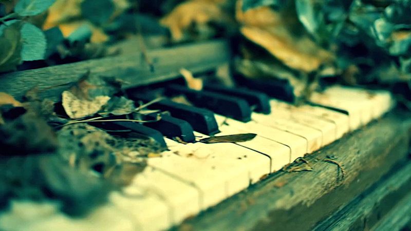 A close-up of some of the keys on a rather broken down piano. They are covered in dried leaves. A close-up of some of the keys on a rather broken down piano. They are covered in dried leaves.
